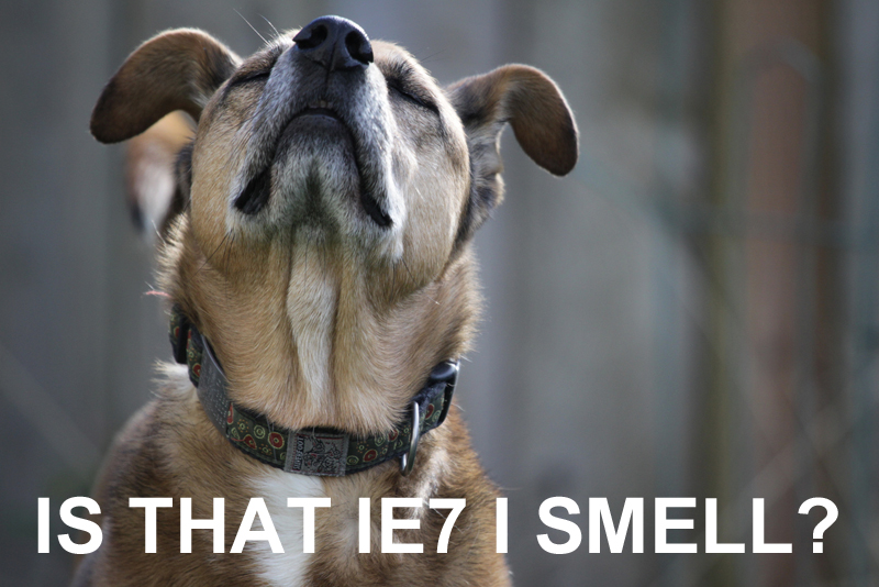 is that IE7 I smell?