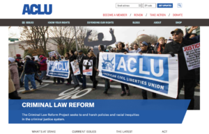 Screenshot of ACLU issue page, desktop layout