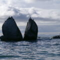 Severeal birds perched on a huge split rock in the ocean.