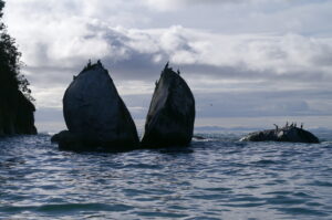 Severeal birds perched on a huge split rock in the ocean.